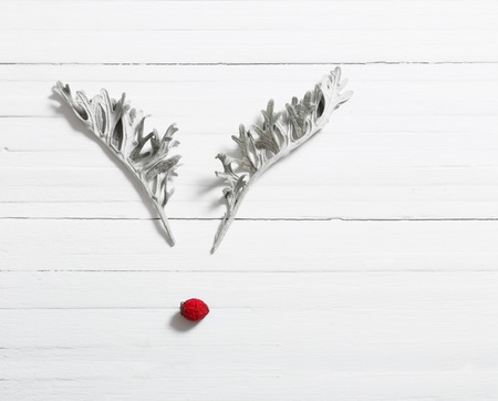 Reindeer face made of leaves on wooden backgroundの写真素材