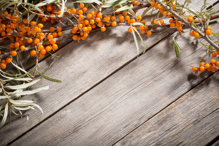 sea buckthorn on wooden backgroundの写真素材