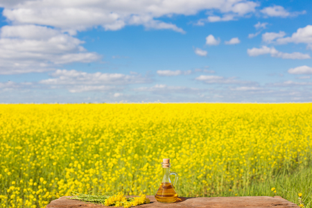 rape oil on wooden table in fieldの写真素材