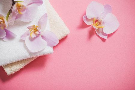 orchids on pink backgroundの写真素材