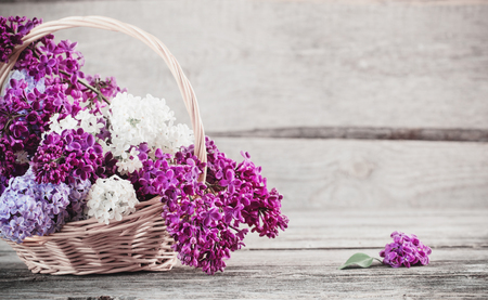 lilac in basket on old wooden backgroundの写真素材