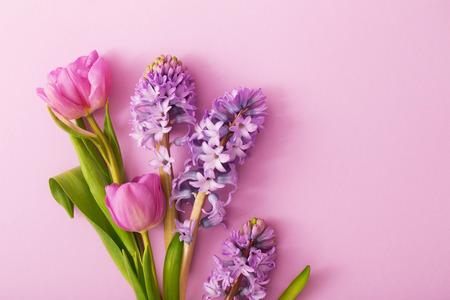 beautiful flowers on paper backgroundの写真素材