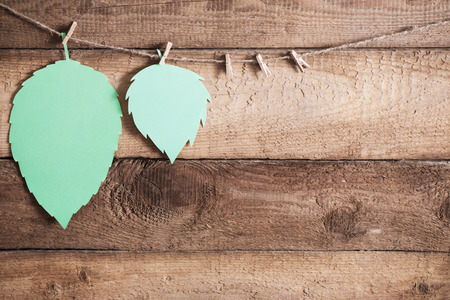 green paper leaf on wooden backgroundの写真素材
