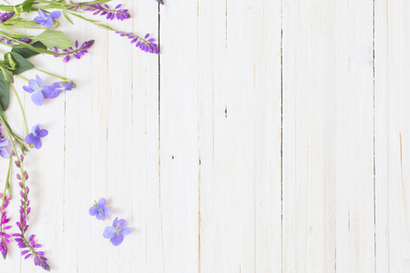 violet flowers on white wooden backgroundの写真素材