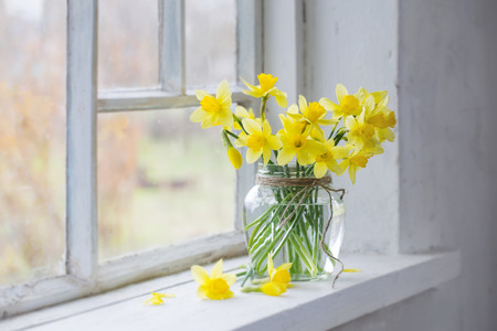 spring yellow flowers on windowsillの写真素材