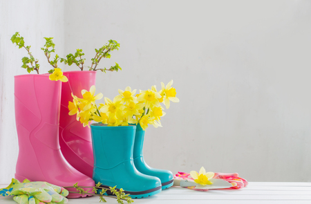 rubber boots and spring flowers on white backgroundの写真素材