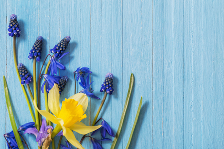 yellow and blue spring flowers on wooden backgroundの写真素材