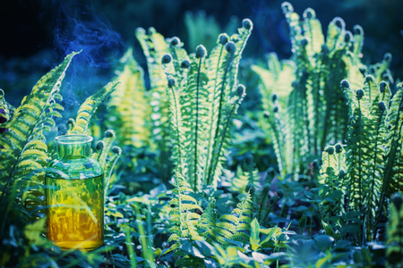 magic potion in bottle outdoorの写真素材