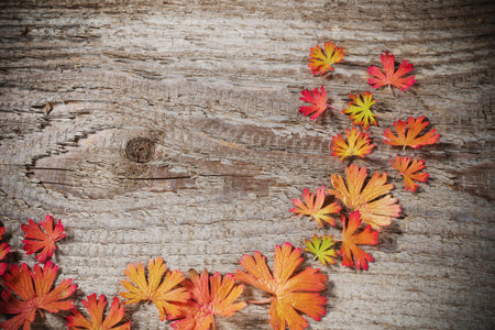 autumn leaves on wooden background
