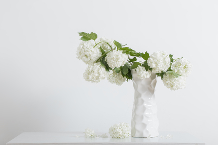 branches of decorative viburnum in a vase on white backgroundの写真素材
