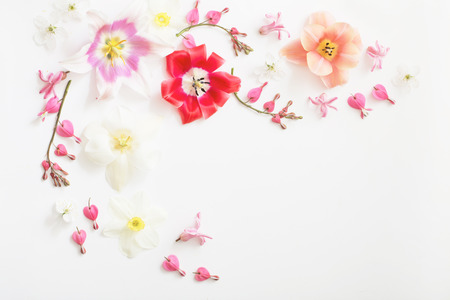 spring flowers on white backgroundの写真素材