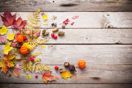 red berriaes and  autumn leaves on old wooden backgroundの写真素材