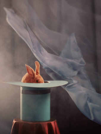 rabbit in  hat on blue background