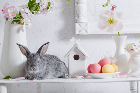 bunny with easter eggs on white background