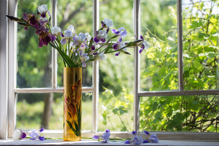 iris in vase on windowsillの写真素材