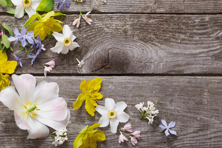 spring flowers on wooden backgroundの写真素材