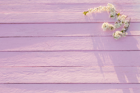 spring flowers on pink wooden backgroundの写真素材