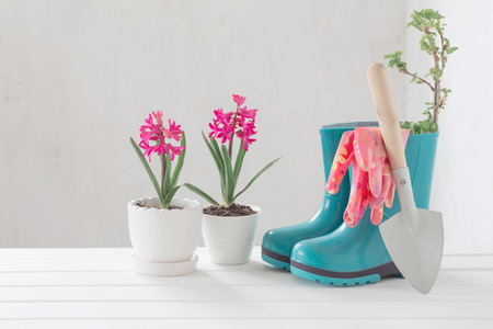 rubber boots and spring flowers on white backgroundの写真素材