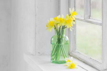 spring flowers on windowsillの写真素材