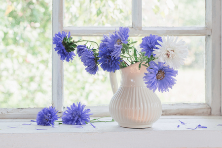 purple asters in  pitcher on  windowsillの写真素材