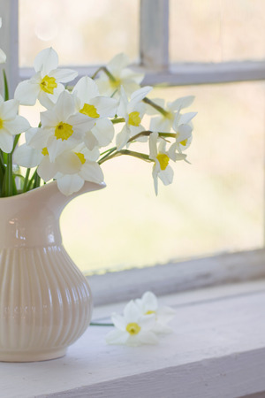 daffodils in jug on windowsillの写真素材