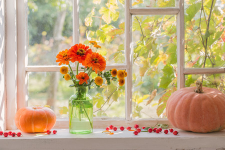 orange flowers with pumpkins on white windowの写真素材