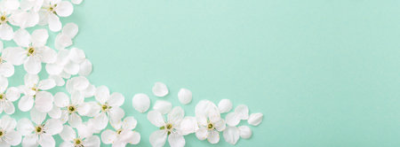 cherry flowers on paper background