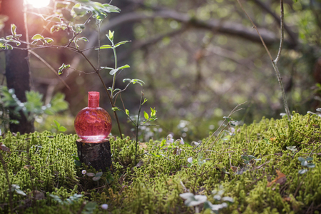 pink magic potion on bottle in forestの写真素材