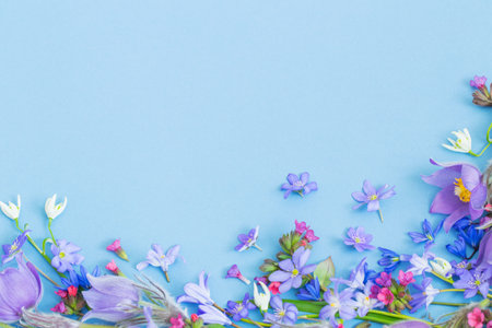 beautiful spring flowers on blue background