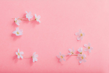white flowers on pink paper background