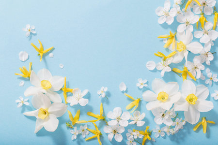 daffodils and cherry flowers on blue background background