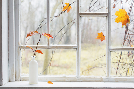 autumn leaves in vase on old windowsillの写真素材