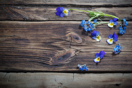 viola flowers on dark wooden backgroundの写真素材