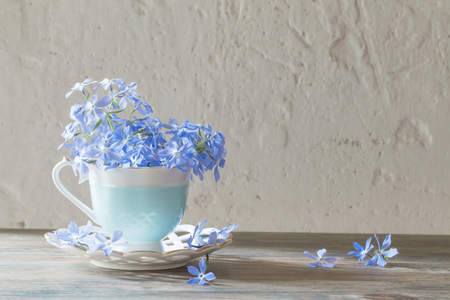periwinkle in cup on wooden tableの写真素材