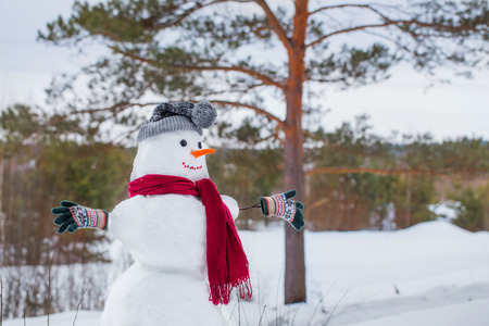 snowman in red scarf in forestの写真素材
