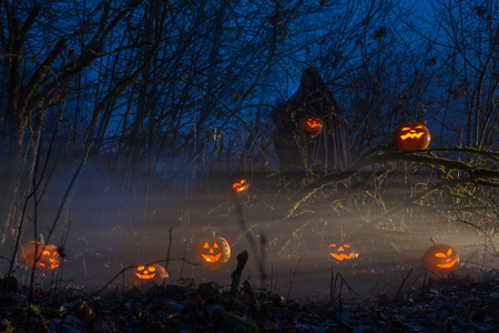 ghost with halloween pumpkins in night forestの写真素材