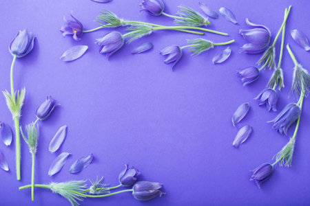 purple flowers on paper background