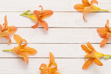 orange day-lily on wooden backgroundの写真素材