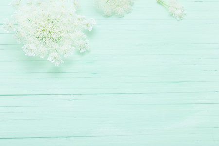white wild flowers on green wooden background
