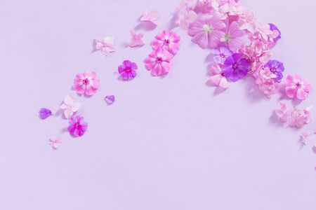 summer flowers on paper backgroundの写真素材
