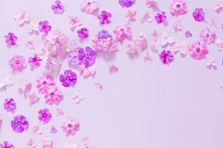 summer flowers on paper backgroundの写真素材