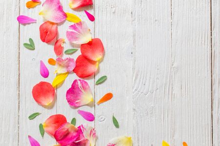 red and yellow summer flowers on white wooden backgroundの写真素材