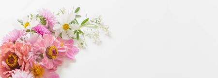 beautiful pink flowers on white backgroundの写真素材