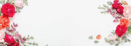 rose flowers and leaves on white backgroundの写真素材