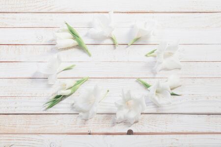 white gladiolus  on white wooden backgroundの写真素材