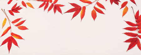red autumn leaves on white background