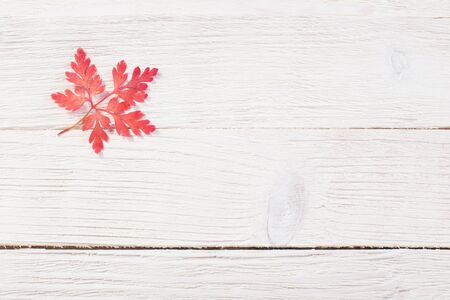 pink autumn leaf on darrk old wooden backgroundの写真素材