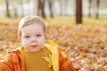 little baby in sunny autumn park