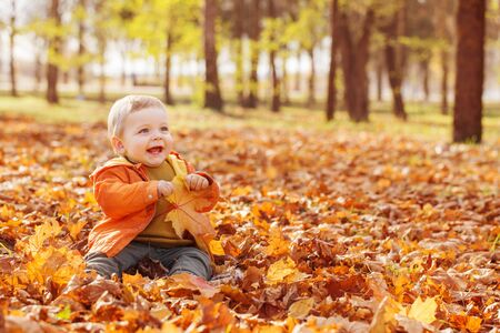 little baby in sunny autumn parkの写真素材