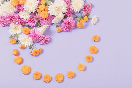chrysanthemums on violet paper backgroundの写真素材